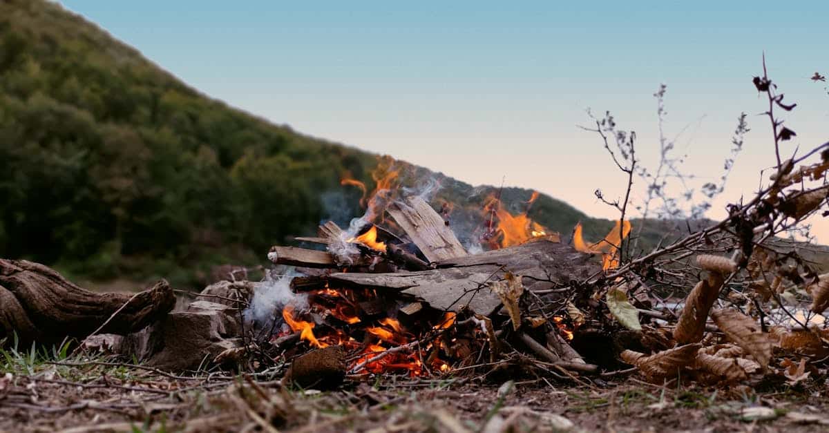 apprenez à vous préparer efficacement pour la vie en pleine nature avec nos conseils et astuces de survie en milieu sauvage.