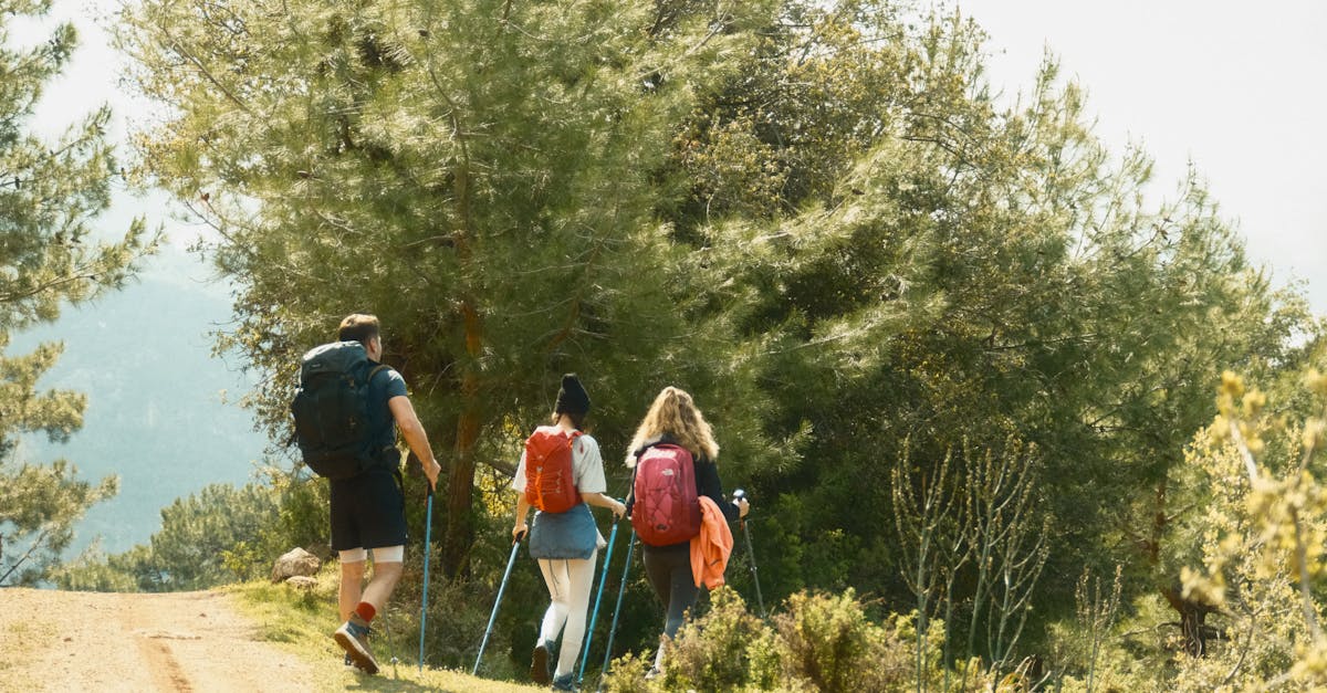 découvrez nos conseils et astuces pour une randonnée éco-responsable, respectueuse de la nature et durable. profitez de la nature tout en préservant l'environnement.