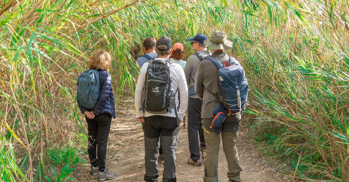 découvrez tout sur la randonnée : conseils, itinéraires, équipements et astuces pour profiter pleinement de vos aventures en pleine nature.