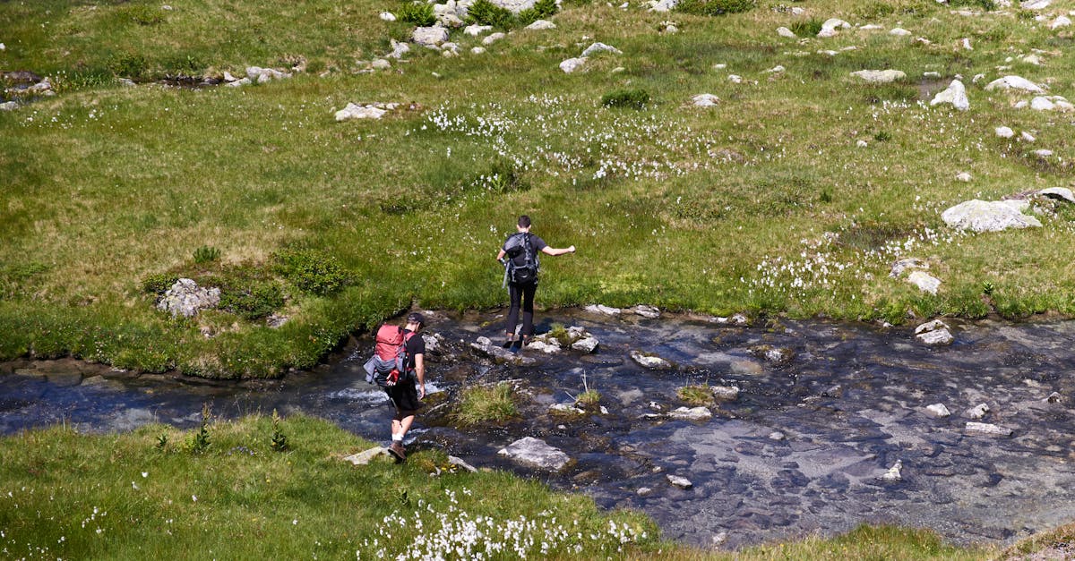 découvrez les meilleures destinations de randonnée, des conseils pratiques et l'équipement essentiel pour profiter pleinement de vos aventures en plein air.