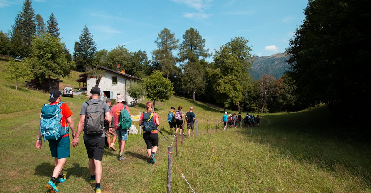découvrez les meilleures randonnées pour tous les niveaux, explorez la nature et profitez d'aventures en plein air inoubliables.