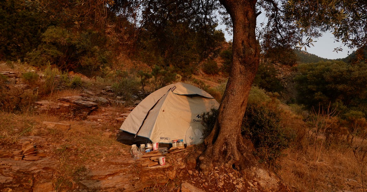 découvrez le wild camping : une expérience d'aventure en pleine nature, loin des campings traditionnels, pour des sensations de liberté et de déconnexion totale.